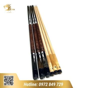 CƠ BIDA LỖ ADAM